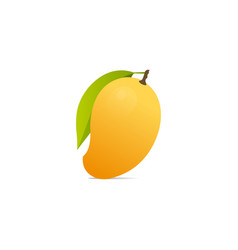 Yellow Mango