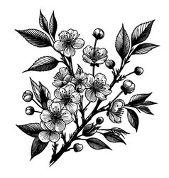 A Black And White Drawing Tree With Blossoms Its