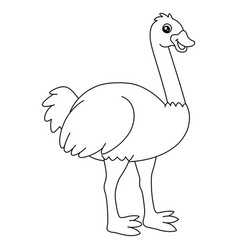 Ostrich Coloring Page Isolated For Kids