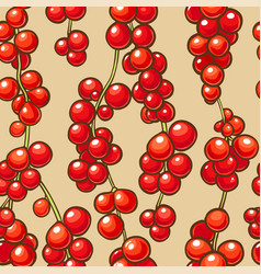 Schisandra Berries Pattern