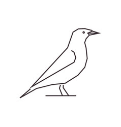 Seagull Bird Line Icon Logo