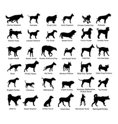 Large Dog Breed Collection Silhouette