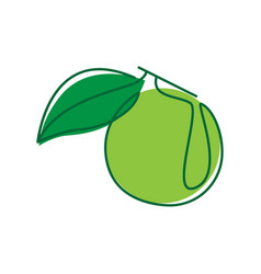 Apricot Green Line Icon Logo