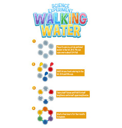 Walking Water Science Experiment