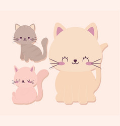 Three Pretty Cats