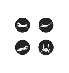 Grasshopper Icon