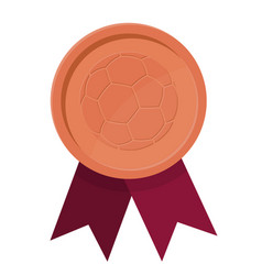 Bronze Award Medal With Ribbons And Soccer Ball