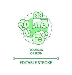 Sources Of Iron Green Concept Icon