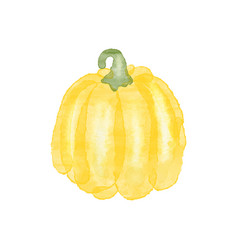 Watercolor Yellow Pumpkin Isolated On White