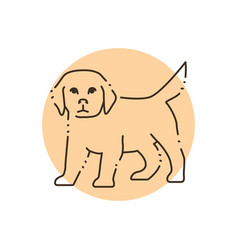 Standing Golden Retriever Puppy Color Line Icon