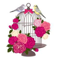 Cage Valentine Birds