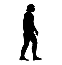 Human Evolution 4