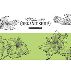 Organic And Natural Shop With Assortment