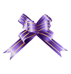 Bow Purple