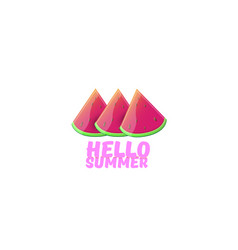 Hello Summer Beach Party Horizontal Banner