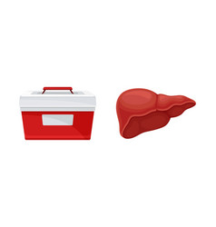 Liver Donor Organ And Cooler Box For Transporting