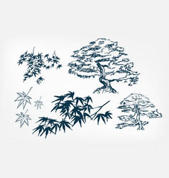 Maple Tree Leaves Branches Sketch Japanese Ink