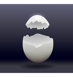 Egg Split In Half On A Dark Background