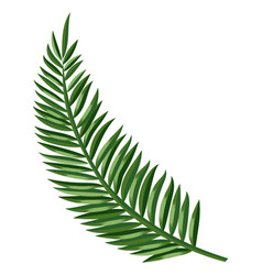 Palm Frond Tropical Paradise Symbol Exotic Leaf