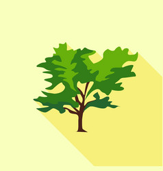 Tree Large Leaves Icon Flat Style