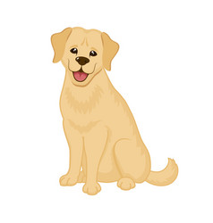 Adorable Sitting Golden Retriever Puppy Icon