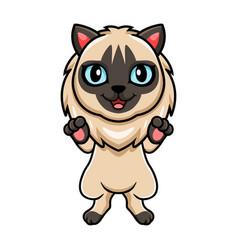 Cute Balinese Cat Cartoon Standing