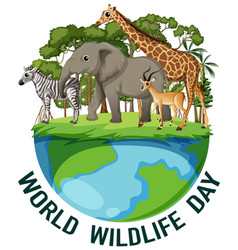 Animals On Earth For World Wildlife Day