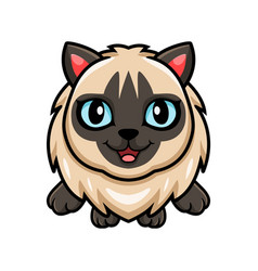 Cute Balinese Cat Cartoon Posing