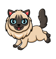 Cute Balinese Cat Cartoon Walking