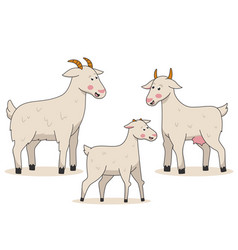 A Family Of Goats Stands On White Background