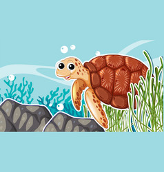 Turtle In The Sea Background