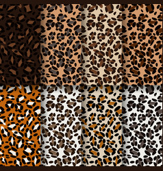 Leopard Print Skin Design Set