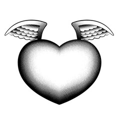 Scratchboard Engraved Angel Heart