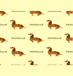 Dachshund Cartoon Character Seamless Pattern