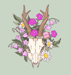 Deer Skull With Meadow Flowers