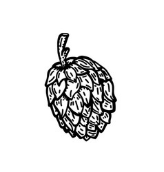 A Cone Of Hops Hand Drawn Linear