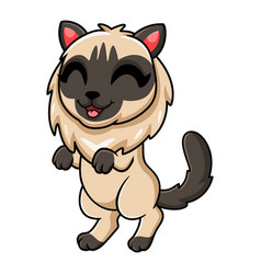 Cute Balinese Cat Cartoon Standing