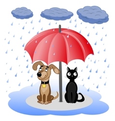 Dog And Cat Under Umbrella