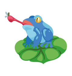 Blue Frog Eating Fly