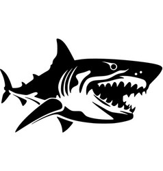 Shark - Black And White