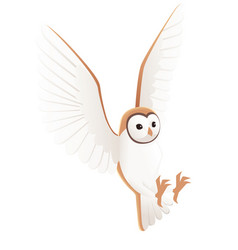 Cute Flying Barn Owl Tyto Alba With White Face