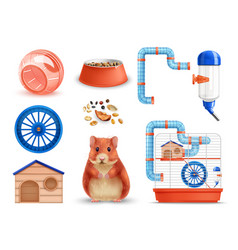 Realistic Hamster Set