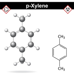 Xylene Molecule