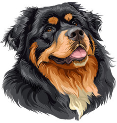 Tibetan Mastiff Adorable Art