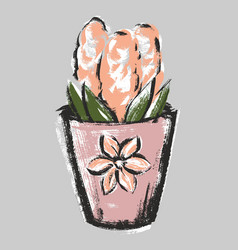 Hyacinth Pink In A Flower Pot