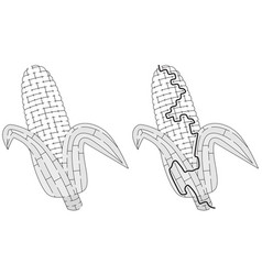 Corn Maze