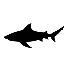 Black Shark Silhouette Isolated