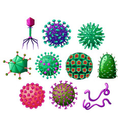 Different Shapes Of Viruses