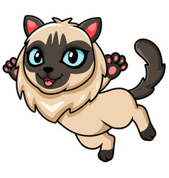 Cute Balinese Cat Cartoon Posing