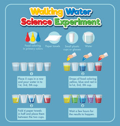 Walking Water Science Experiment